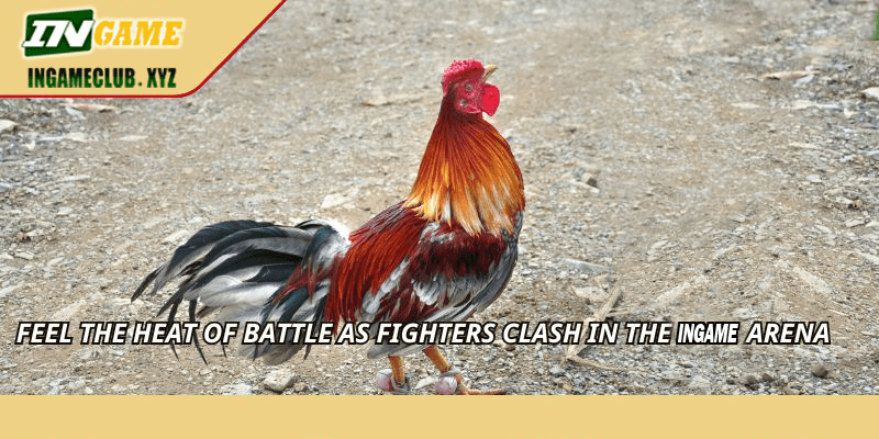 Feel the heat of battle as fighters clash in the WW5 arena