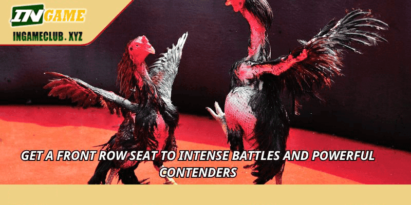Get a front row seat to intense battles and powerful contenders