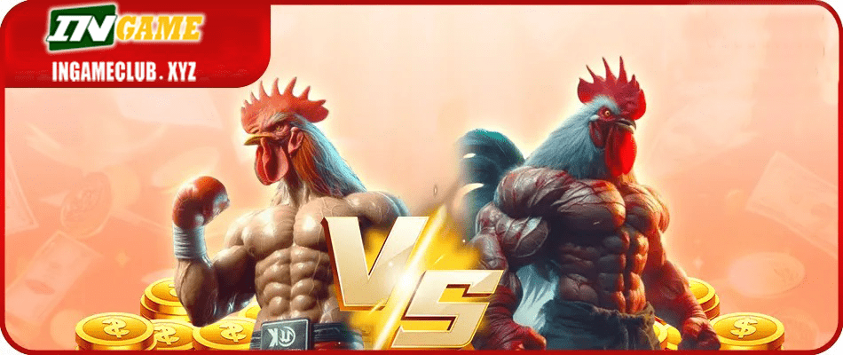 WW5 cockfighting banner hp
