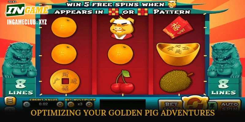 Optimizing Your Golden Pig Adventures