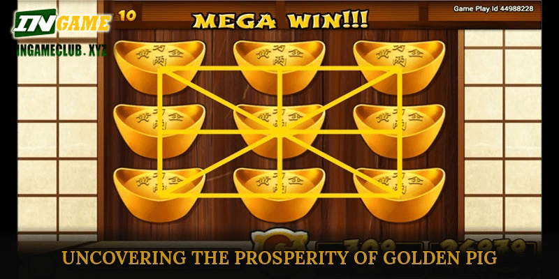 Uncovering the Prosperity of Golden Pig